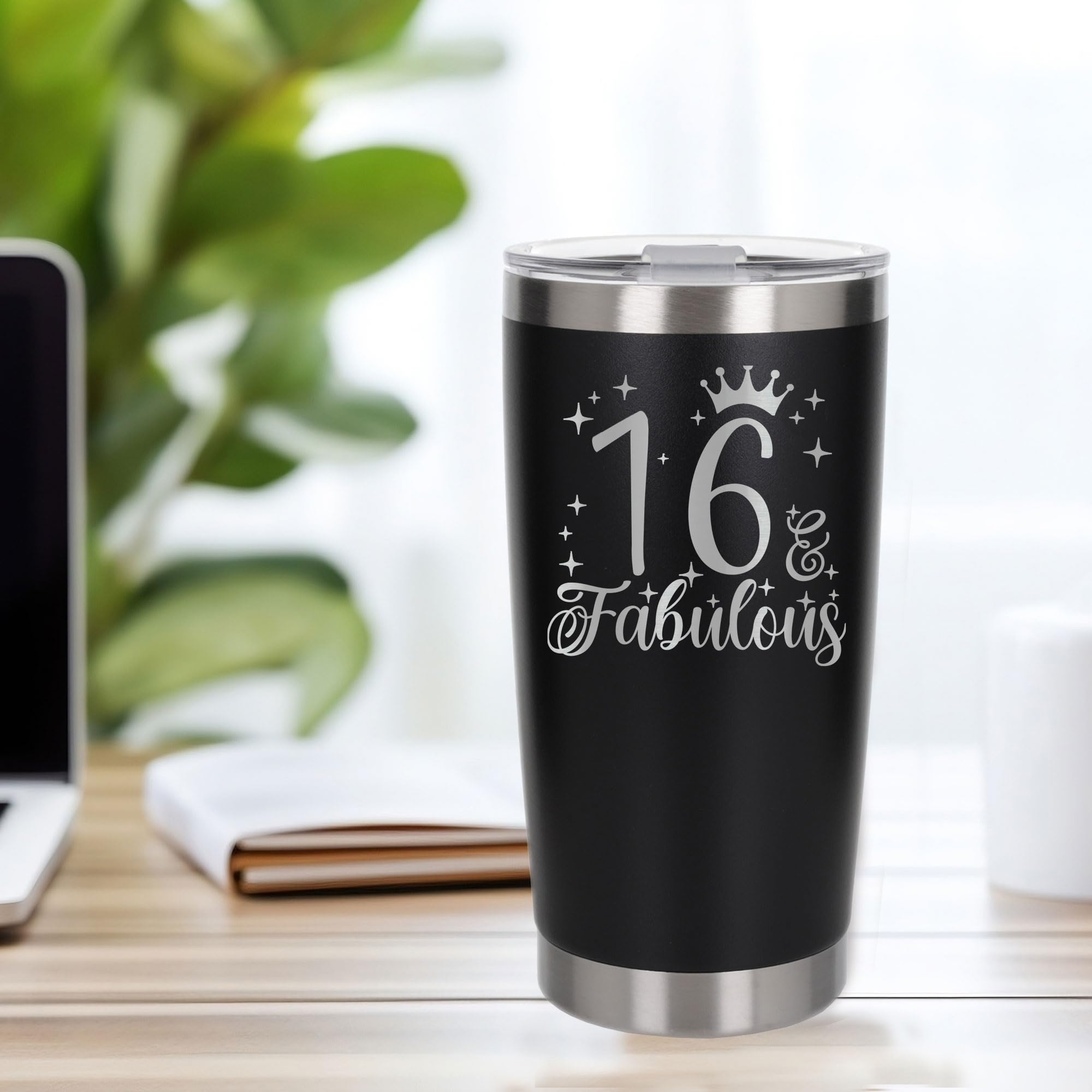 View 4