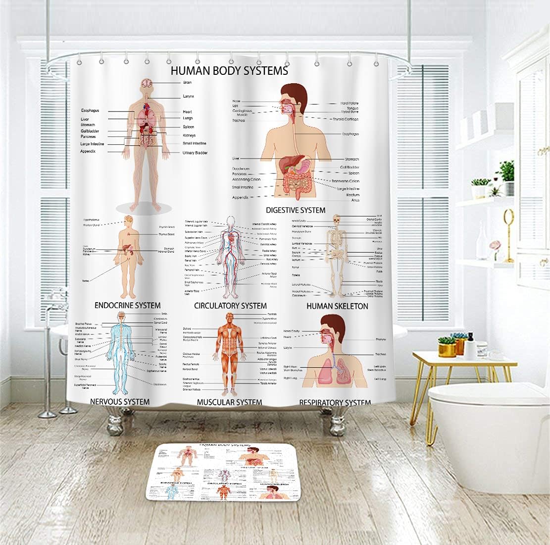 Riyidecor Human Body Shower Curtain Illustration Decor Bathroom Polyester Waterproof 72Wx72H Inch with Plastic Hooks 12 Pack