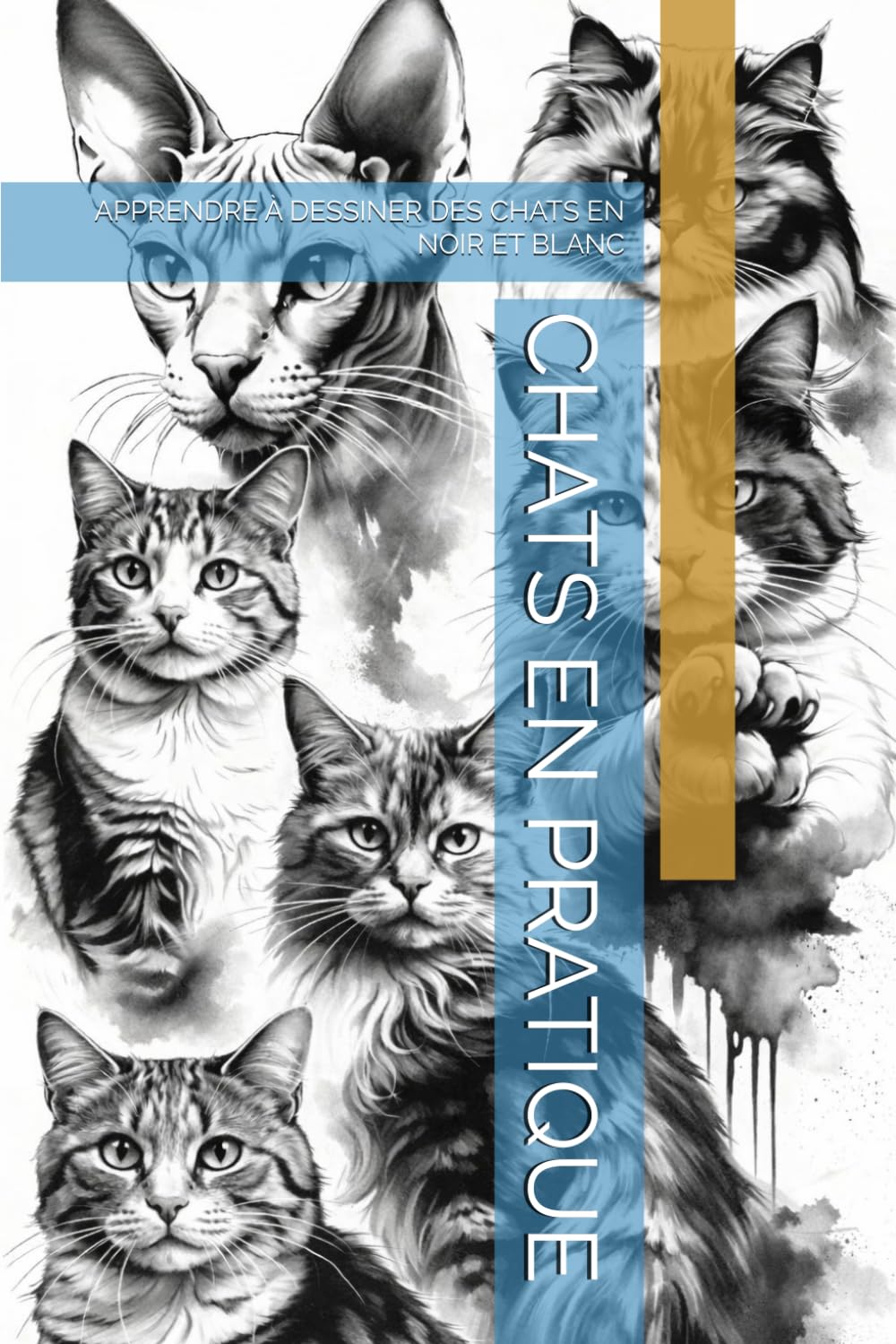 CHATS EN PRATIQUE: APPRENDRE À DESSINER DES CHATS EN NOIR ET BLANC