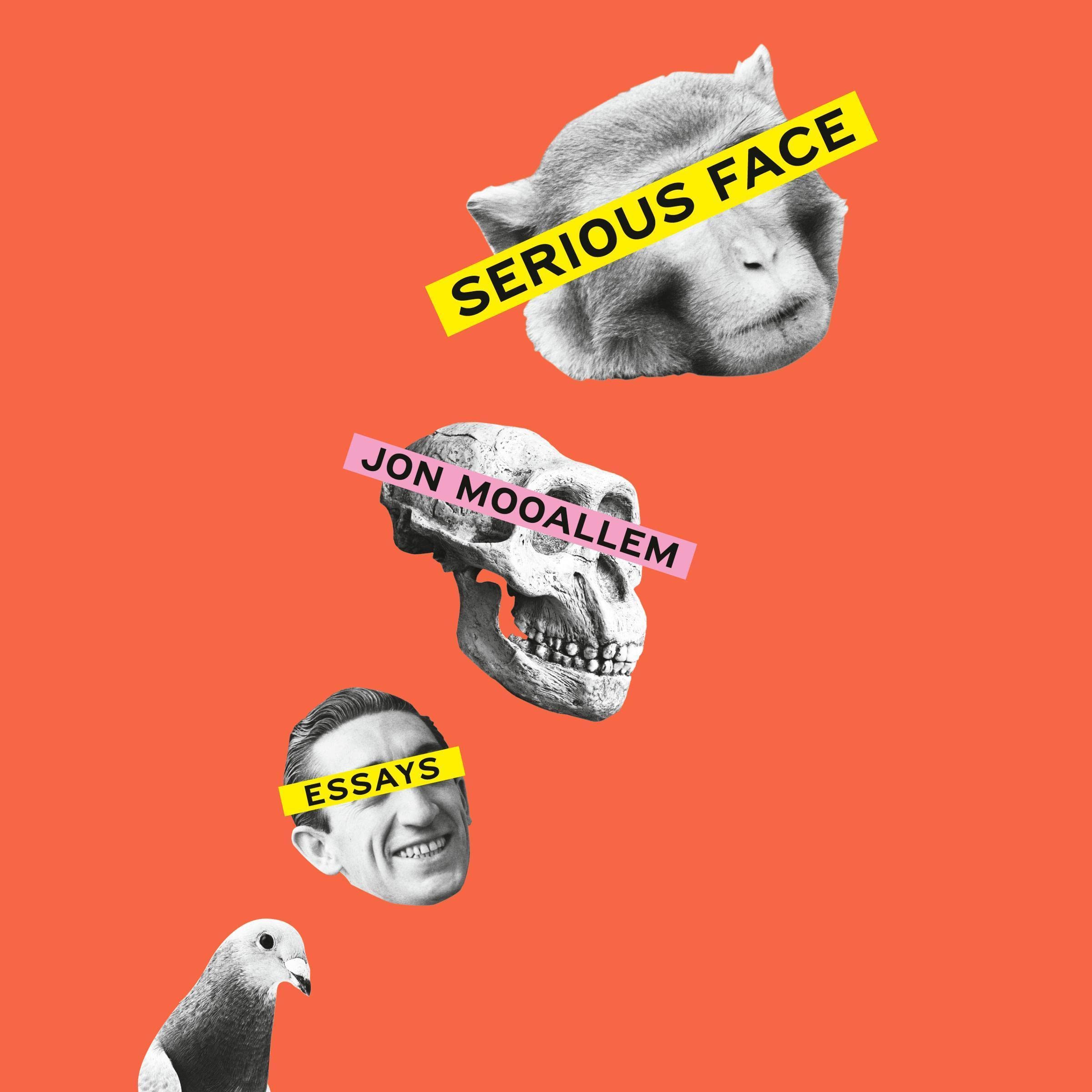 Cover art for Serious Face