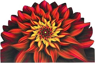 ATOLY Entrance Floor Mat Flowers Door Mat,Doormat Front Back Interesting Doormat Indoor and Outdoor Doormat,24