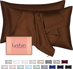 Mulberry Silk Pillow Cases 2 Pack Standard Size 20x26 Inches with Hidden Zipper, Ultra Smooth and Soft Breathable Cooling Silk Satin Pillowcase Set of 2, Better for Hair and Skin, Gifts for Women Men