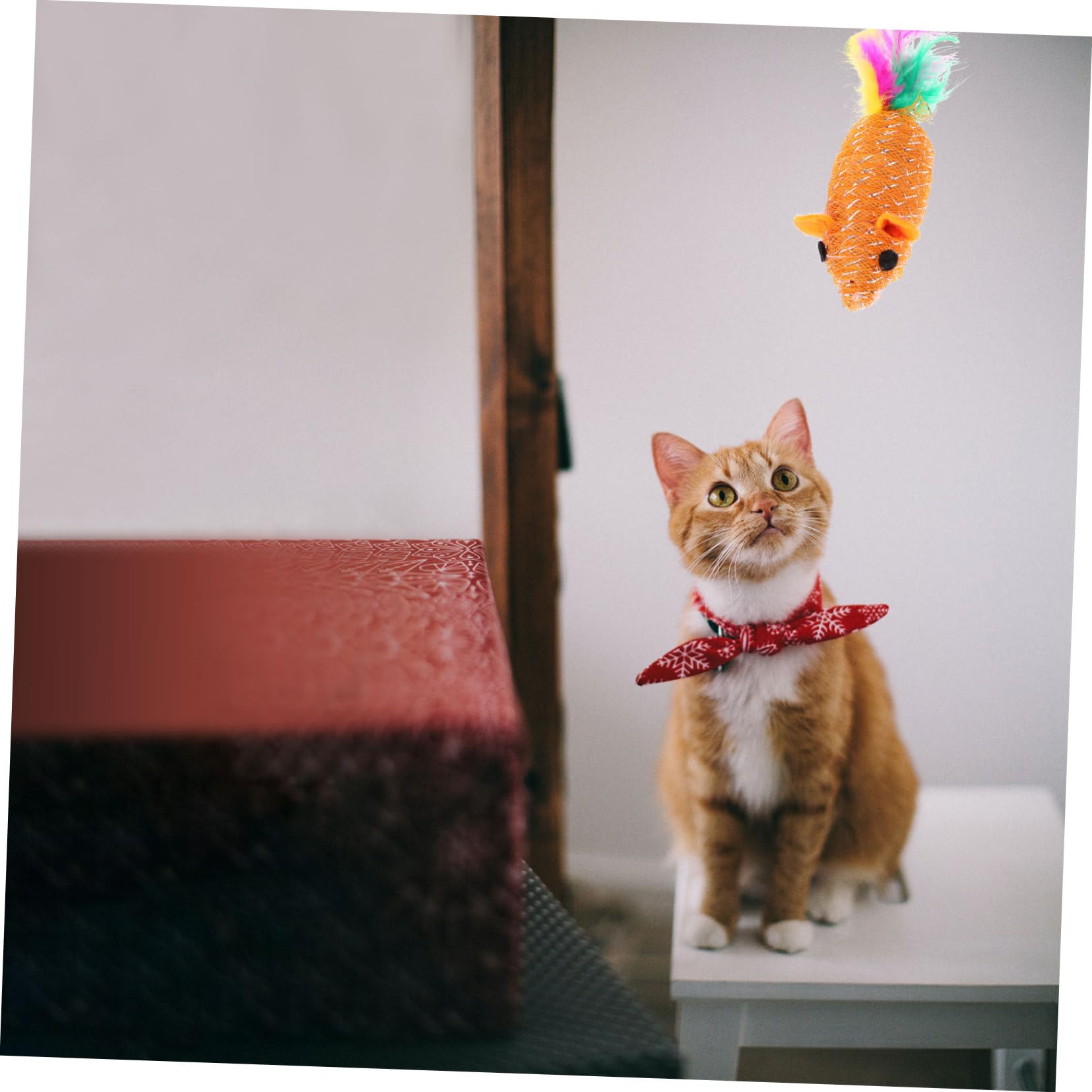Yardwe 3 Juegos De Juguetes Molares Realistas para Gatos De Ratón De Suministros para Mascotas 10 Piezas X 3