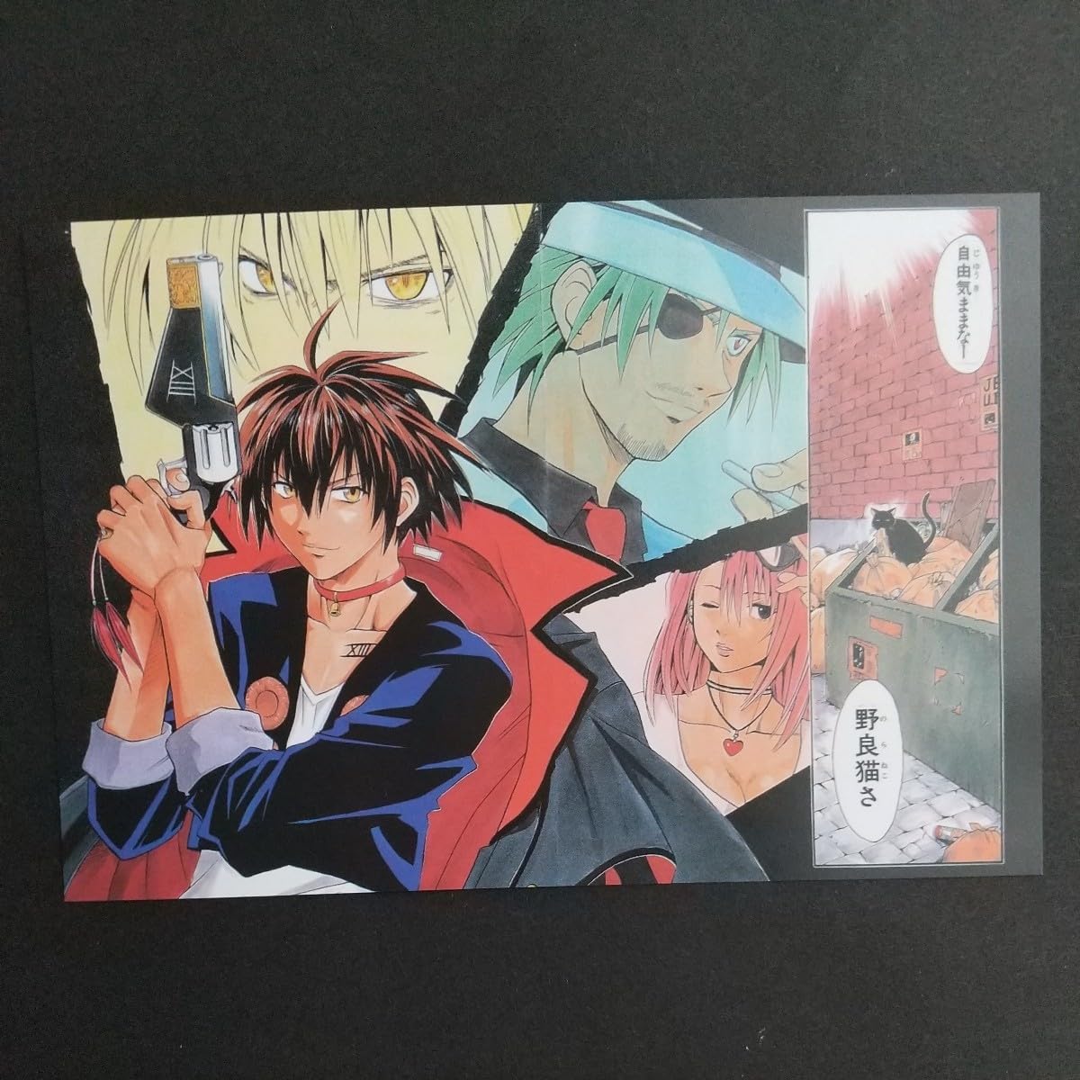 ブラックキャット BLACKCAT カード 少年ジャンプ Amazon.co.jp: BLACK CAT ブラックキャット ポストカード 週刊少年