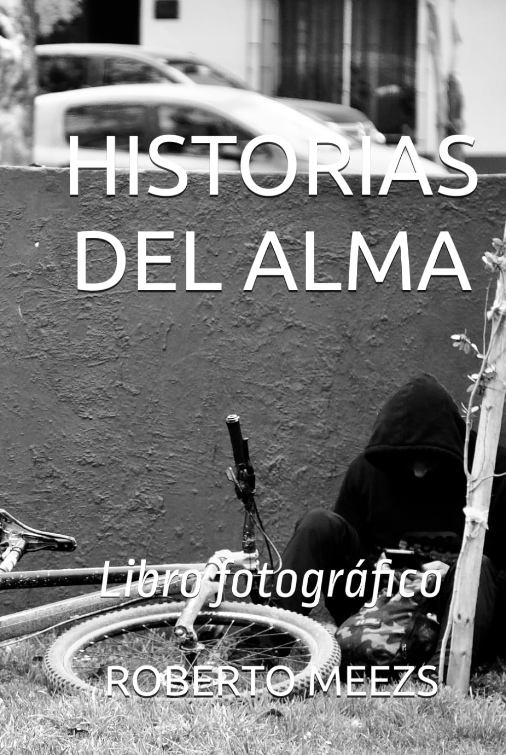 HISTORIAS DEL ALMA