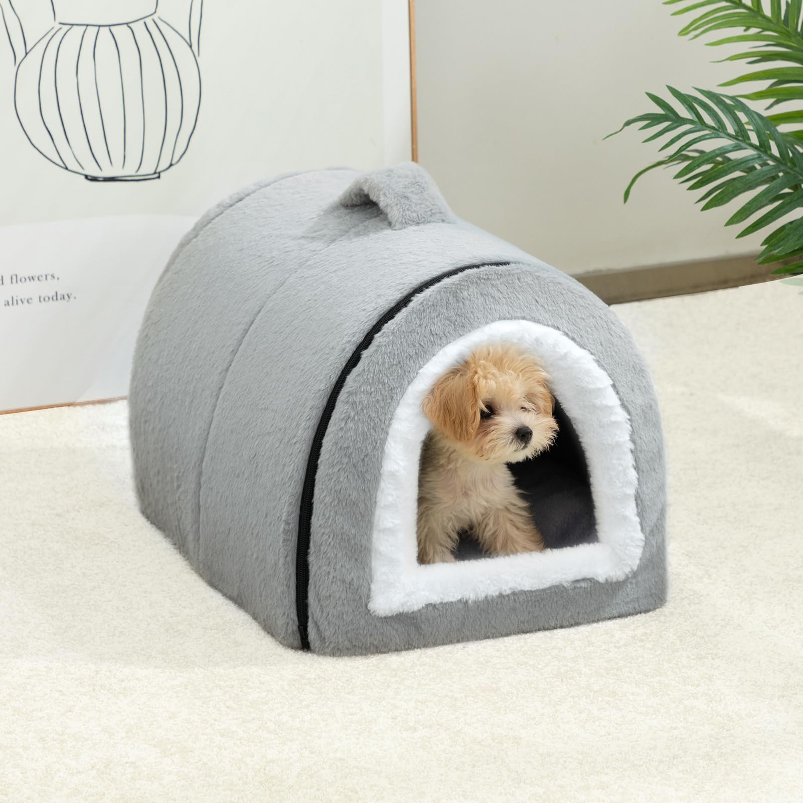 Hollypet Cat Bed Small Dog Bed - Image 3