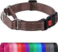 Vista 7 de Joytale Collar Martingale para perros, reflectante resistente para mayor seguridad, hebilla de liberación rápida, collares de nailon ajustables