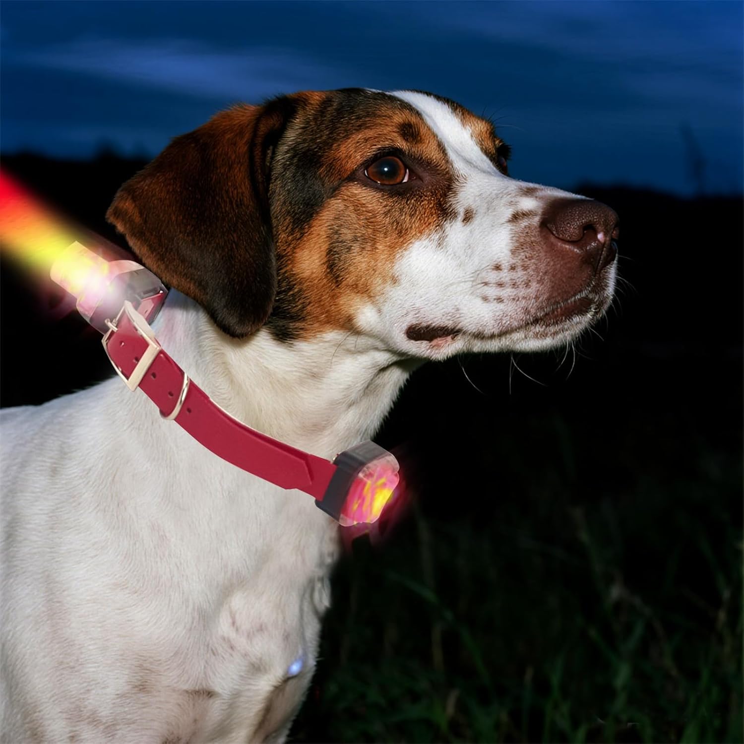 Hunting Dog Training Collar - Exclusive Hawk Sound Beeper & LED Beacon, Dual E-Collars with Training & Tracking,1 Mile Long Range, Waterproof & Rechargeable, Locating/Tone/Vibration/Shock