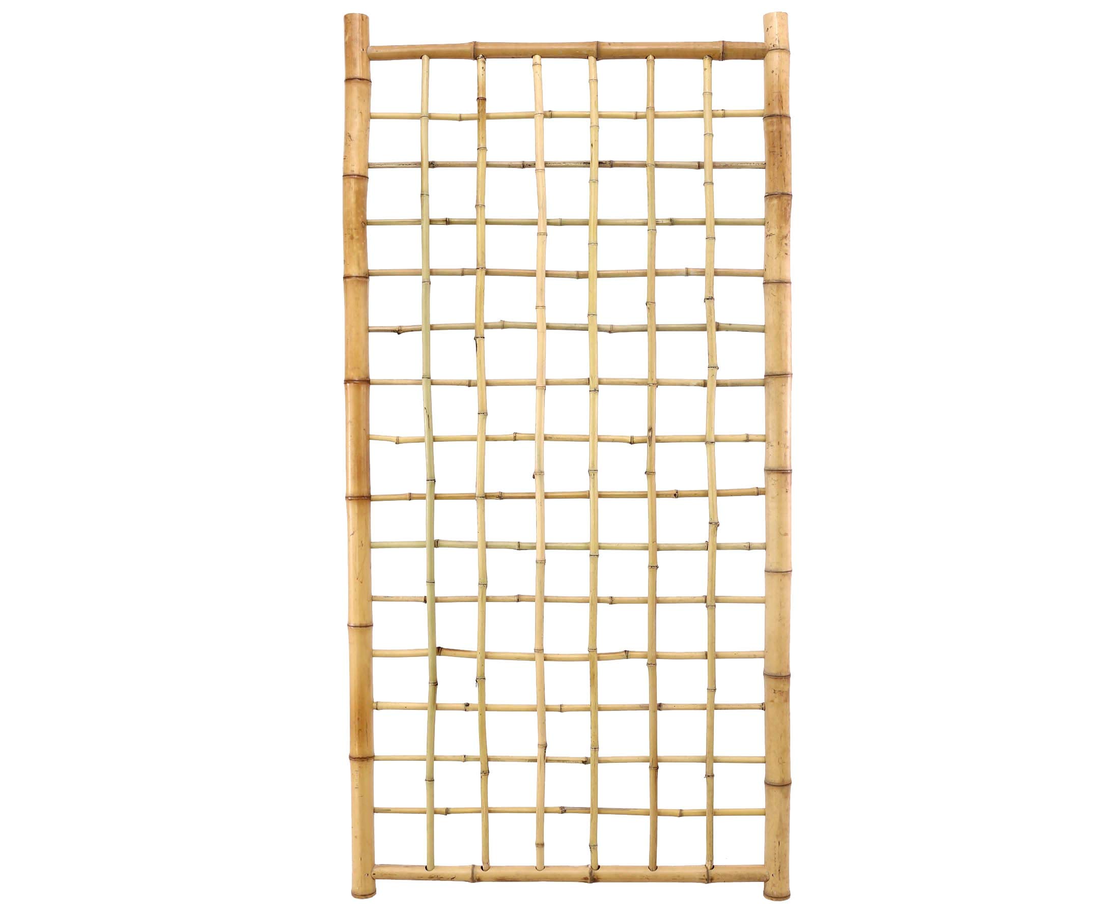 Bambus Rankgitter Ten NewLine4 180 x 90cm Spalier aus 20 Bambusrohren -  Rankhilfe aus Bambusstben 1,8m x 0,9m von bambus-discount.com : Amazon.de:  Garten