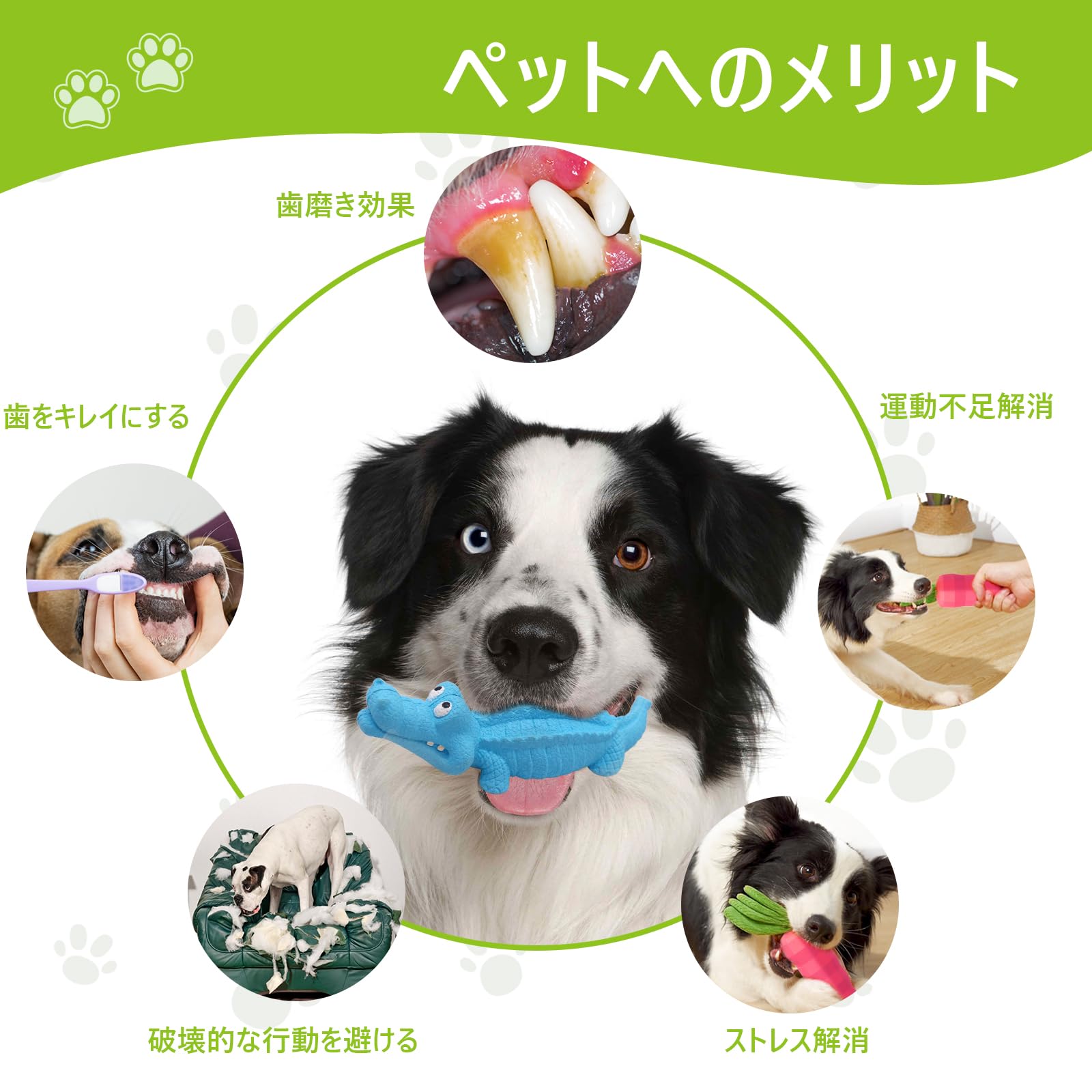 Amazon | Yutesiri 犬 おもちゃ 音が出る 噛んでも壊れない Amazon | Yutesiri 犬 おもちゃ 音が出る 噛んでも壊れない