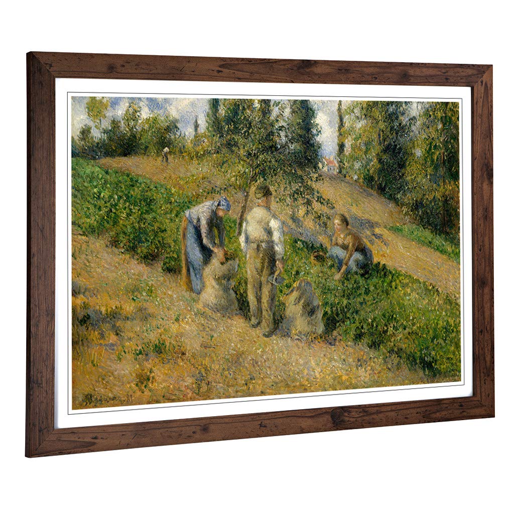 Big Box Art Framed Print of Camille Pissaro The Harvest Design | Wall Art Picture | Home Decor for Kitchen, Living, Dining Room, Bedroom, Hallway, Office, Walnut, A2 / 24.5x18 Inch / 62x45cm