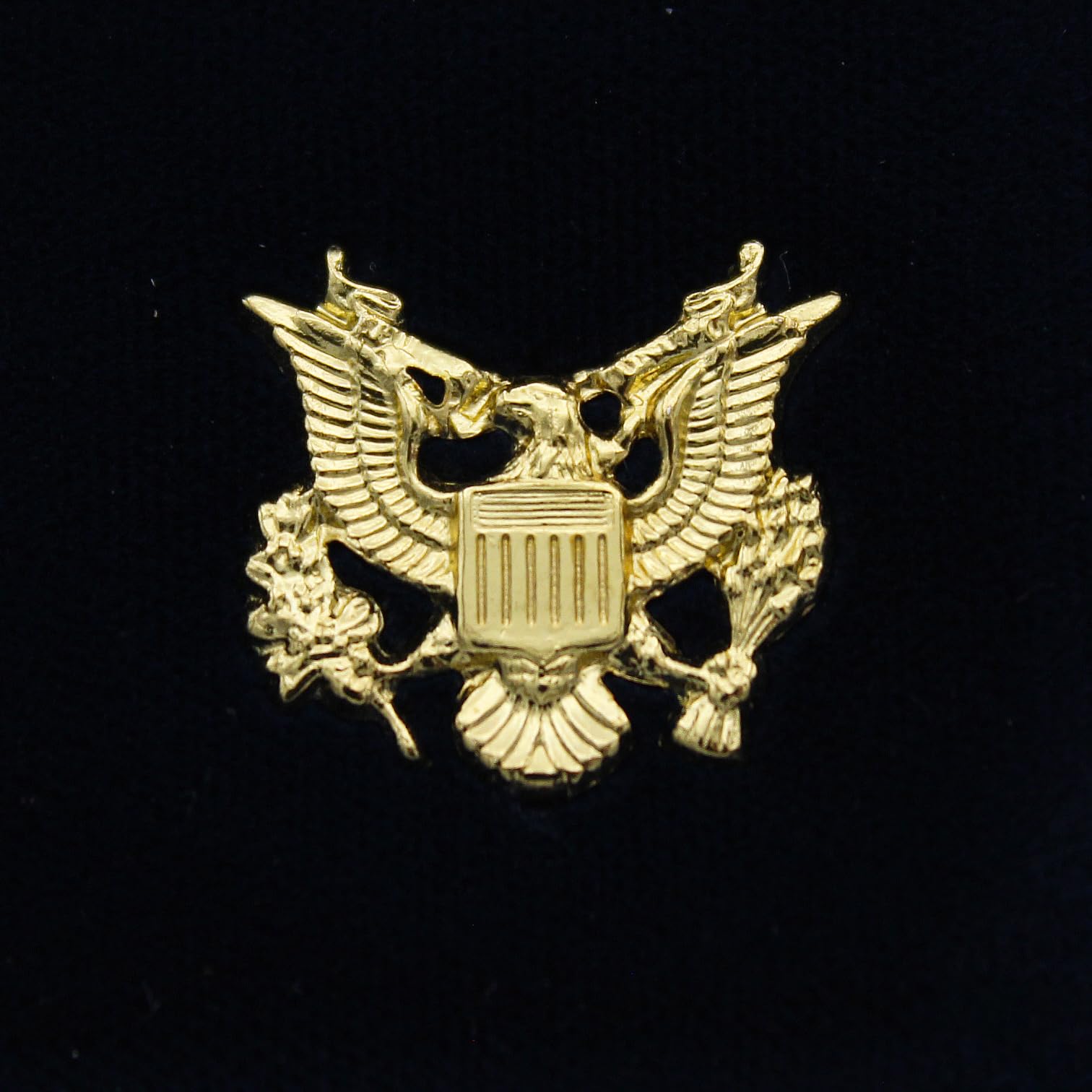 Amazon.com: American One 盎司(1 盎司)金條展示盒: 辦公用品