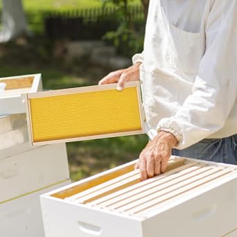 Bee Hive Frames and Wax Foundations 2Pcs 19.02x9.13x0.79 inch. Square Bee Frames with Wax Wood Beehive Yellow