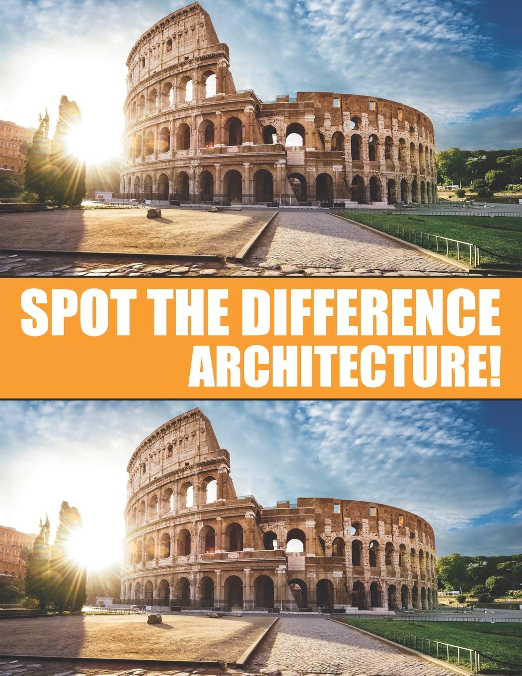 Spot the Difference Architecture!: A Hard Search and Find Books for Adults: 2 (Puzzle Books for Adults)