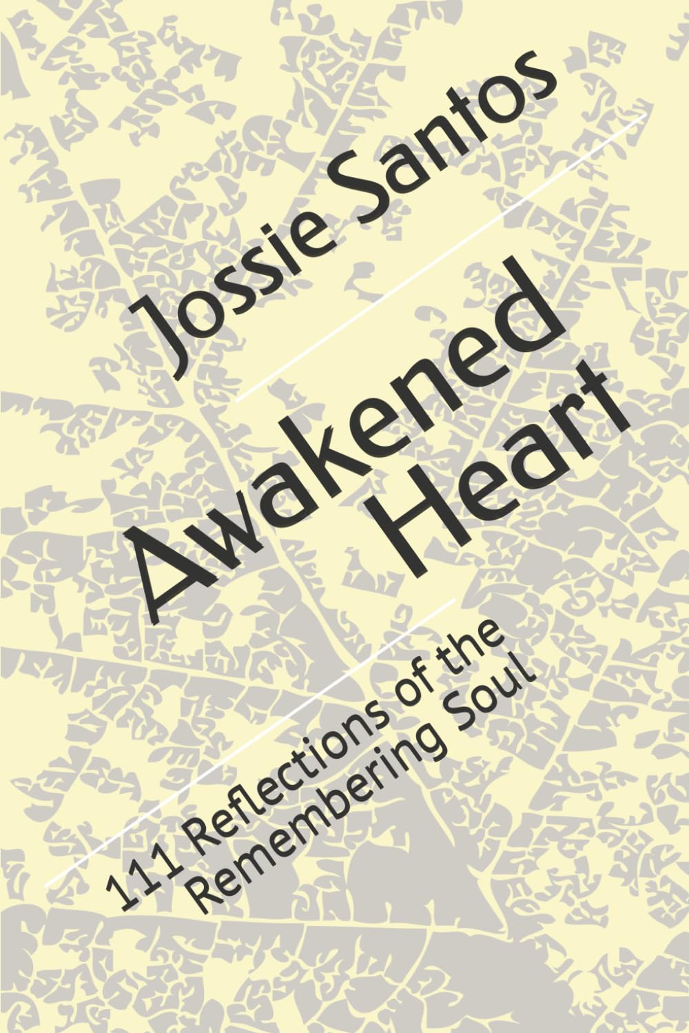 Awakened Heart: 111 Reflections of the Remembering Soul
