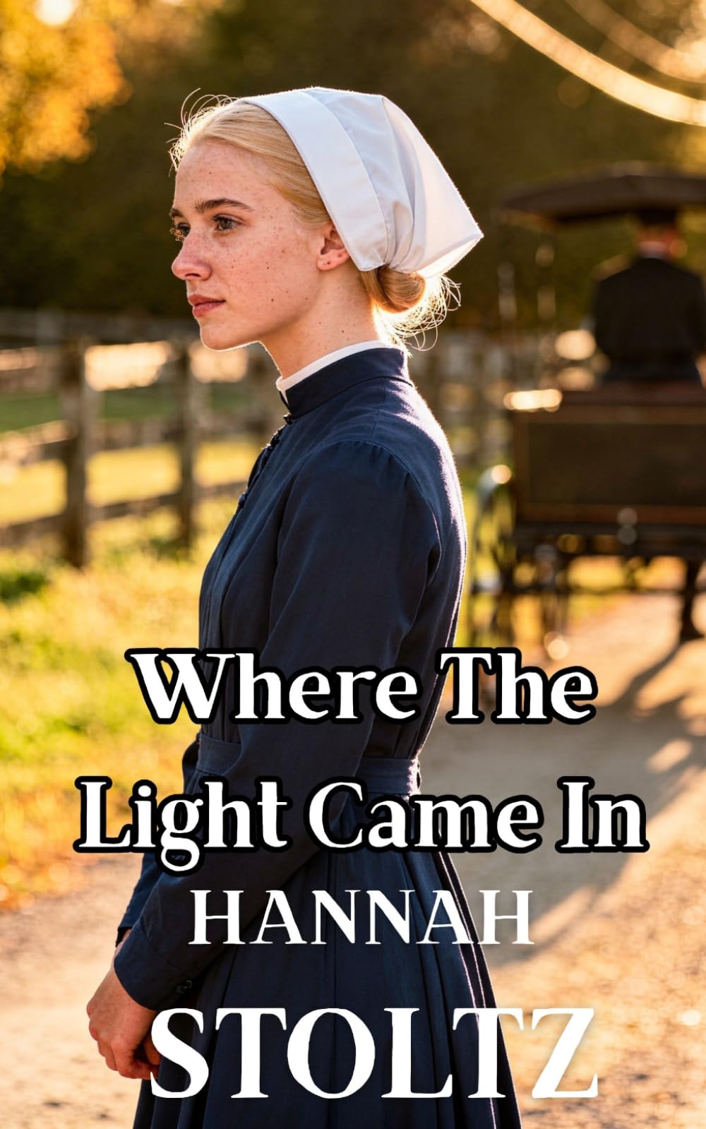 Where The Light Came In