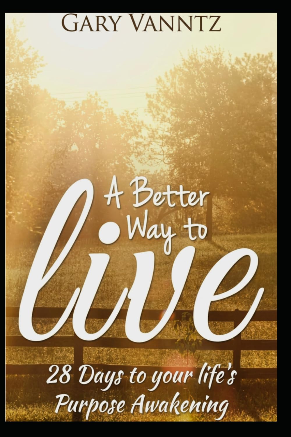 A BETTER WAY TO LIVE: 28 Days to your life's Purpose Awakening.