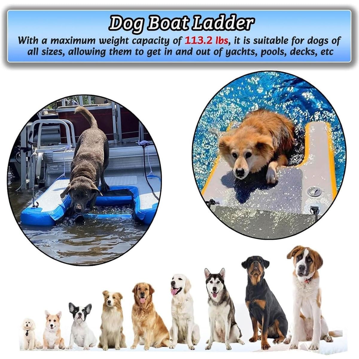 Rampa gonfiabile per piscina per cani, scala galleggiante con pompa, corda e kit di riparazione, supporta fino a 51,3 kg, ideale per cani in piscina, barche, laghi o mare