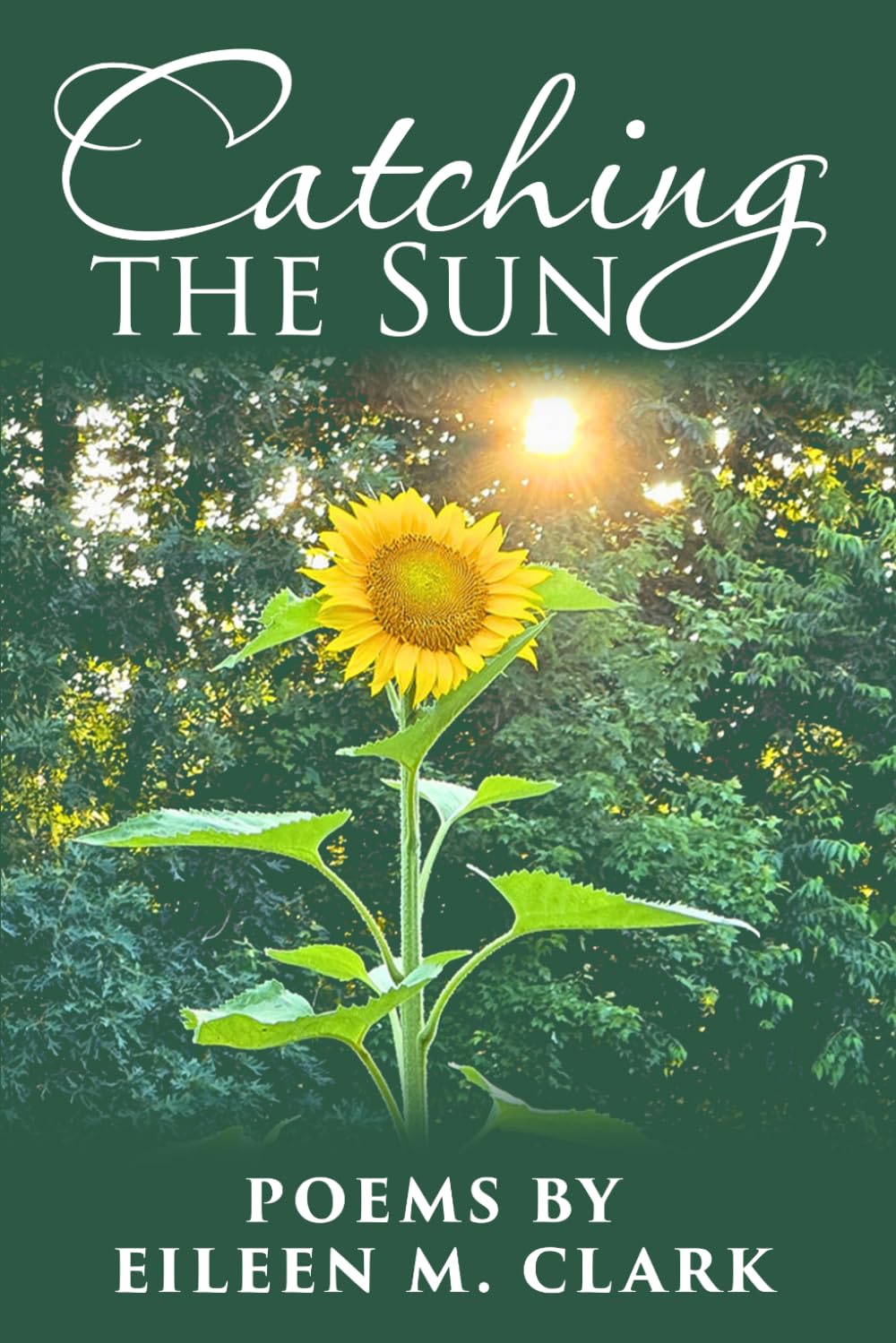 Catching The Sun: A Poetry Collection