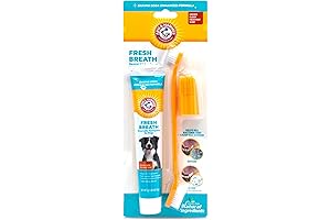 Arm & Hammer Pet Toothbrush for Small Dogs