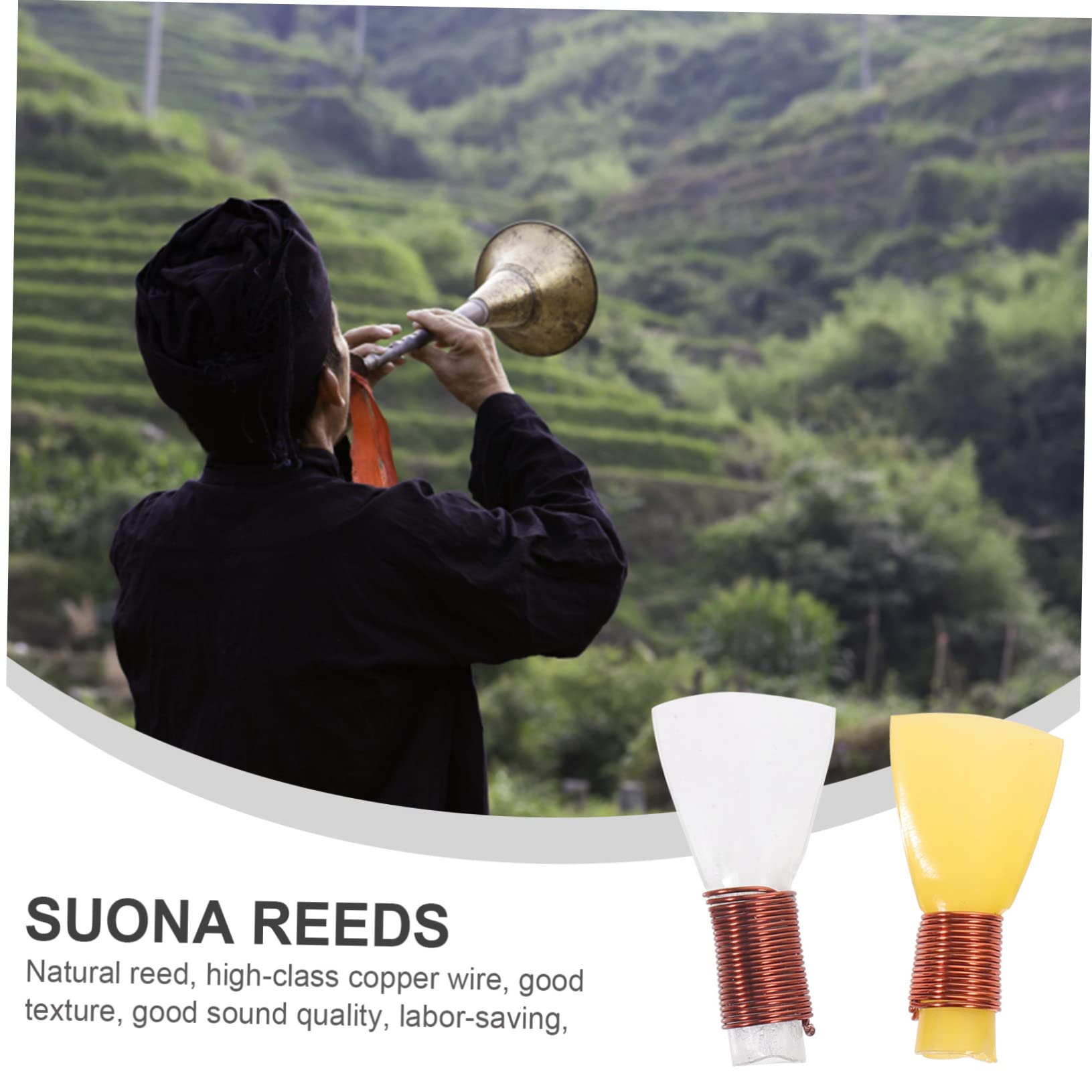 Totority Supplies 10pcs Reed Musical Instruments Easy Replacement and Creative Design Enhance Your Mood Random