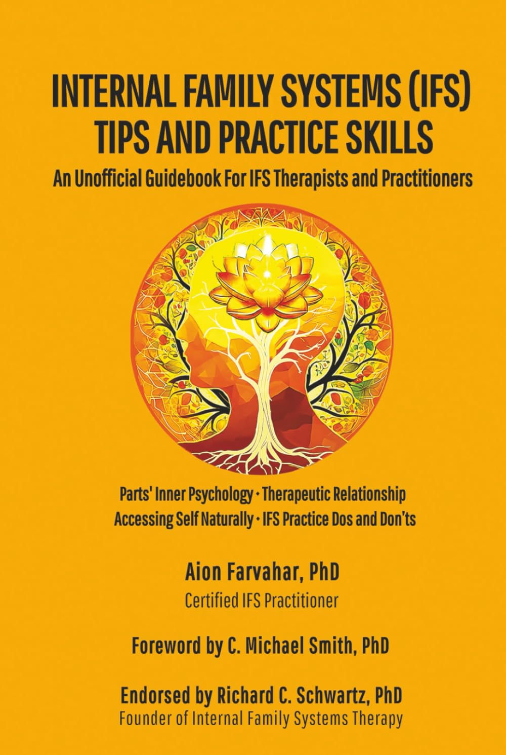 Internal Family Systems (IFS) Tips and Practice Skills: An Unofficial Guidebook for IFS Therapists and Practitioners      Hardcover – August 26, 2025