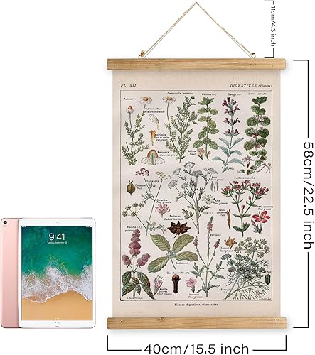 Miniatura 217 de XIAOAIKA Póster de botánica vintage con marco de madera, tabla de plantas venenosas antiguas, arte educativo botánico con especies peligrosas, 1