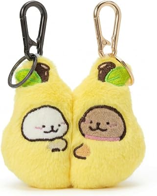 Magnetic keychains