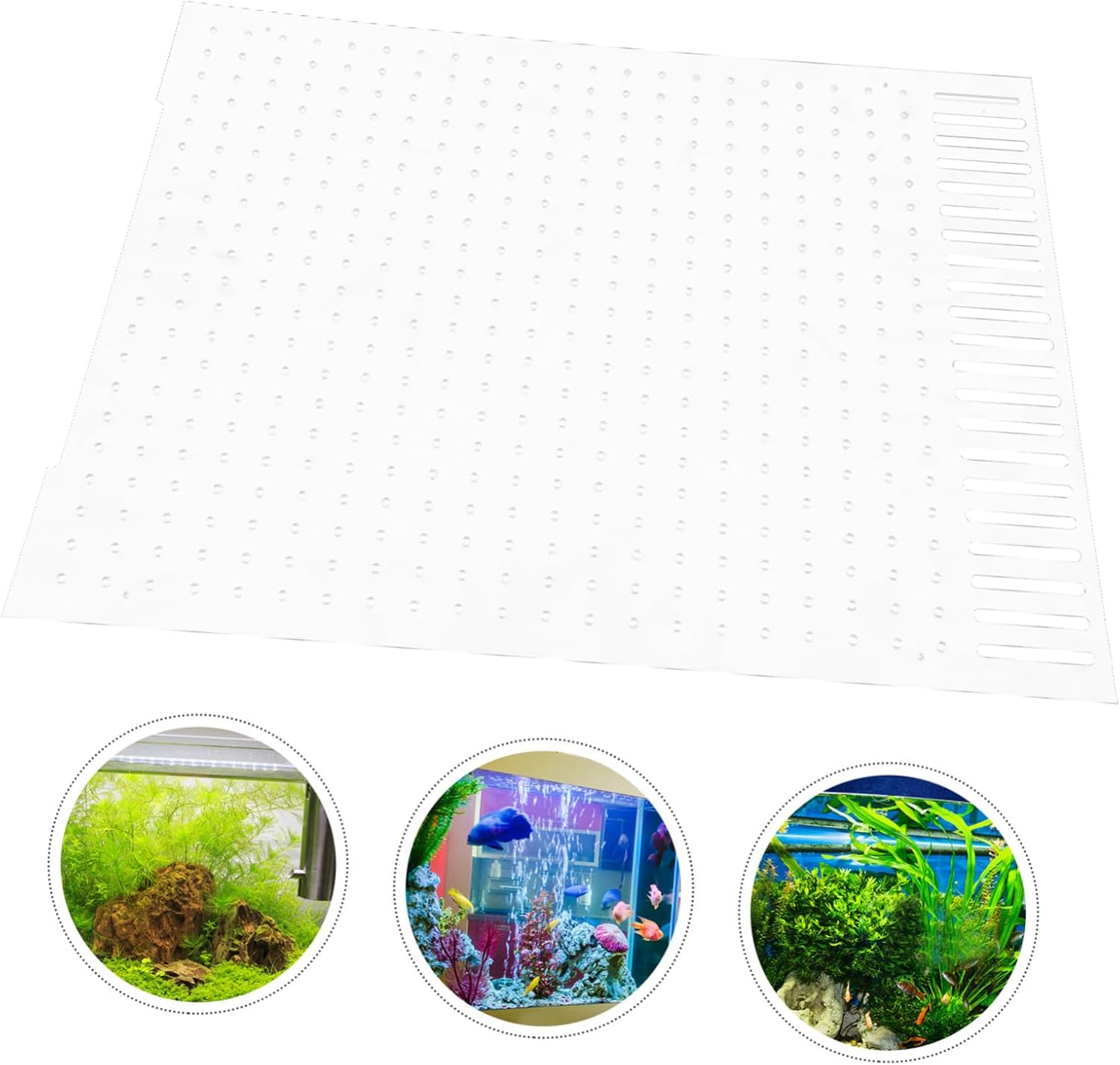 BESPORTBLE Aquarium Fish Tank Divider Transparent Acrylic Isolation Board for Fish Tank Easy to Install Cups and Portable Isolation