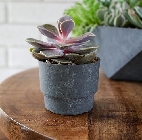 Miniatura 3 de The HC Companies Maceta redonda Sprite de 5 pulgadas, maceta pequeña de plástico con drenaje para plantas de interior y exterior, hormigón sintético