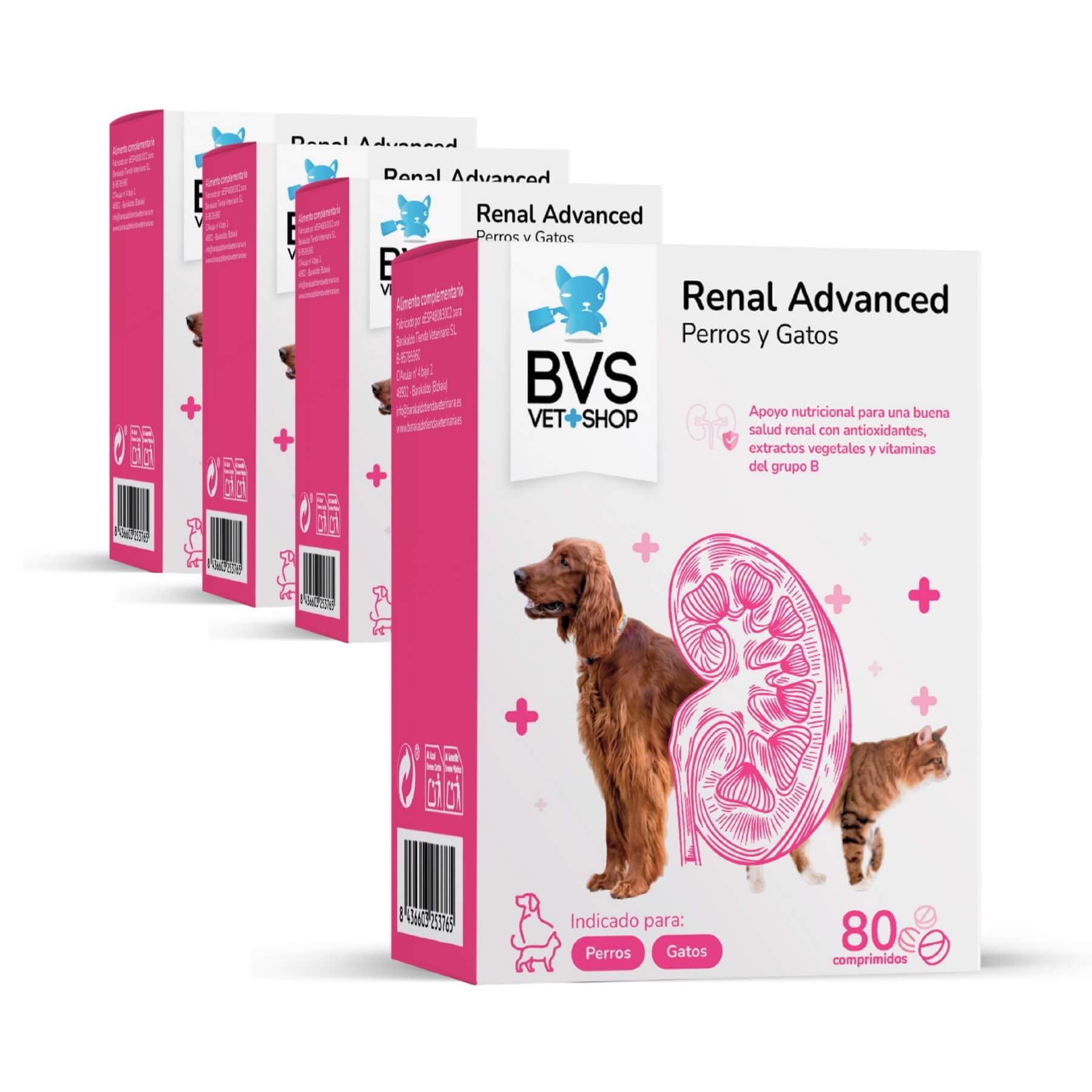 BVS Vet Shop | Renal Advanced para Perros y Gatos | para una Buena Salud renal con antioxidantes, extractos Vegetales y vitaminas del Grupo B | 80 Comprimidos