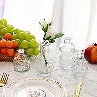 Vista 6 de Fixwal Juego de 5 jarrones pequeños, florero pequeño para flores, jarrón de vidrio para decoración del hogar, decoraciones de boda, jarrones