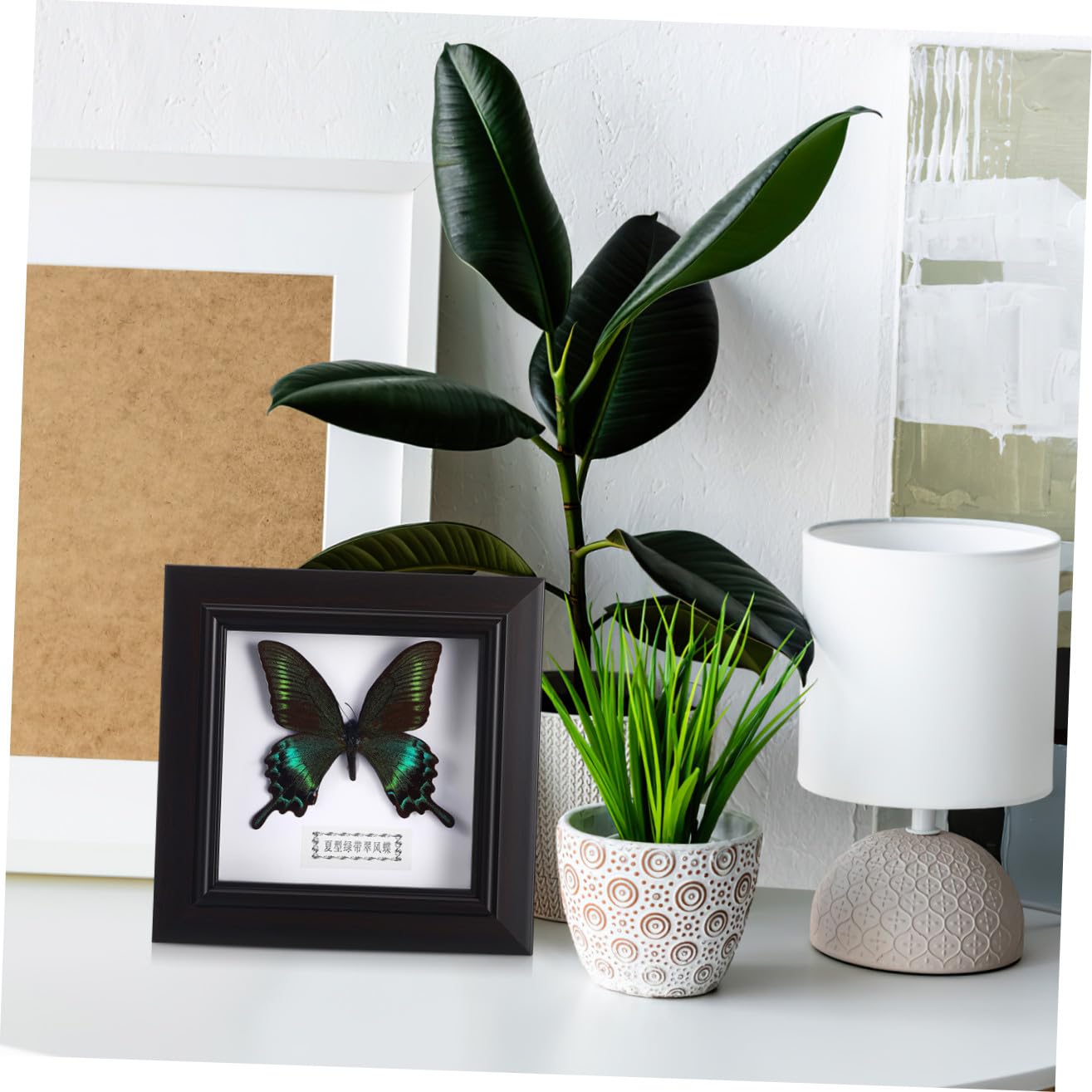 STOBAZA Marco de Exhibición DIY de Mariposa Simulada, Negro, Acrílico