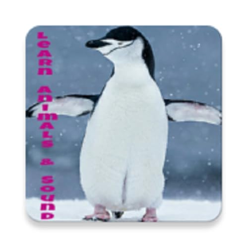 How to pronounce plateau (September 2024)