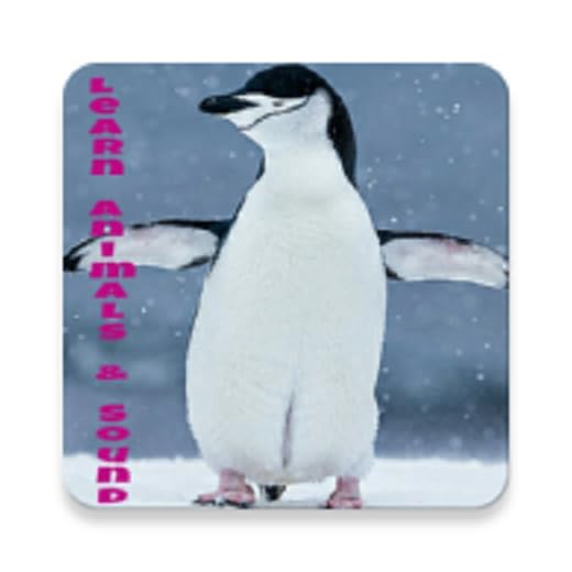 Fun Educational Learning App for Kids