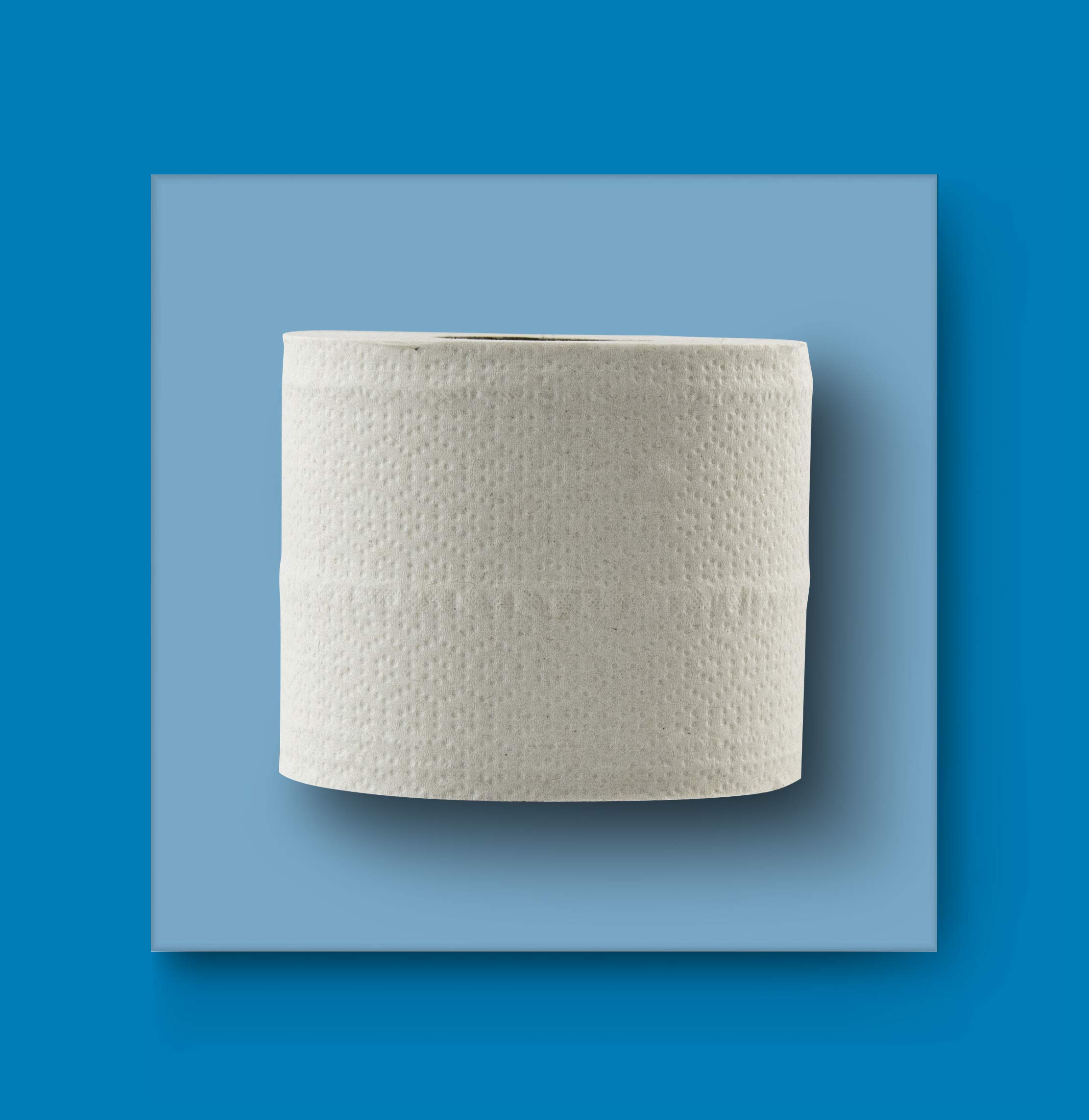 AmazonCommercial Papier Toilette, 2 Plis Recyclé, Désencré, 40 Rouleaux (4 Paquets de 10), 390 Feuilles par Rouleau, Dimensions des Feuilles : 11,5cm x 9,7cm, Compatible avec les Distributeurs T4/T6