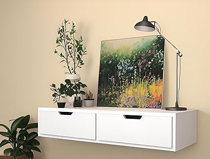 Dime Store Wall Mount Floating Wall Shelf with Drawer for Living Room Home Bedroom and Home Decorative Items Storage Shelf (White)