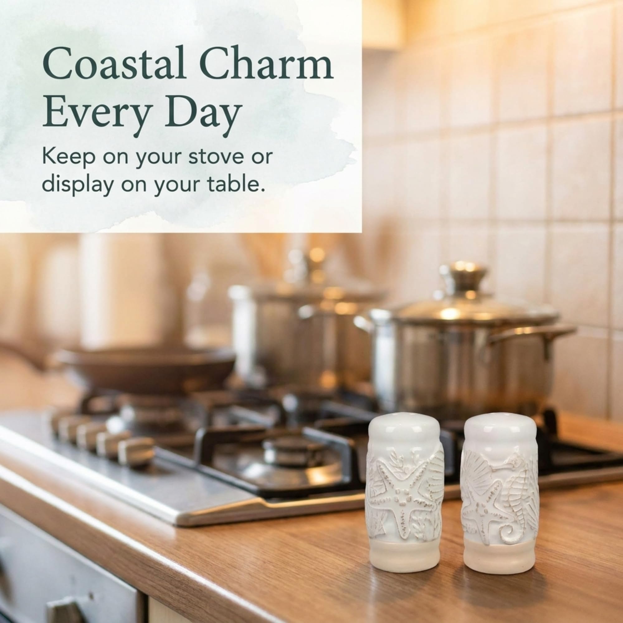Amazon.com: The Bridge Collection Ceramic Coastal Salt and Pepper