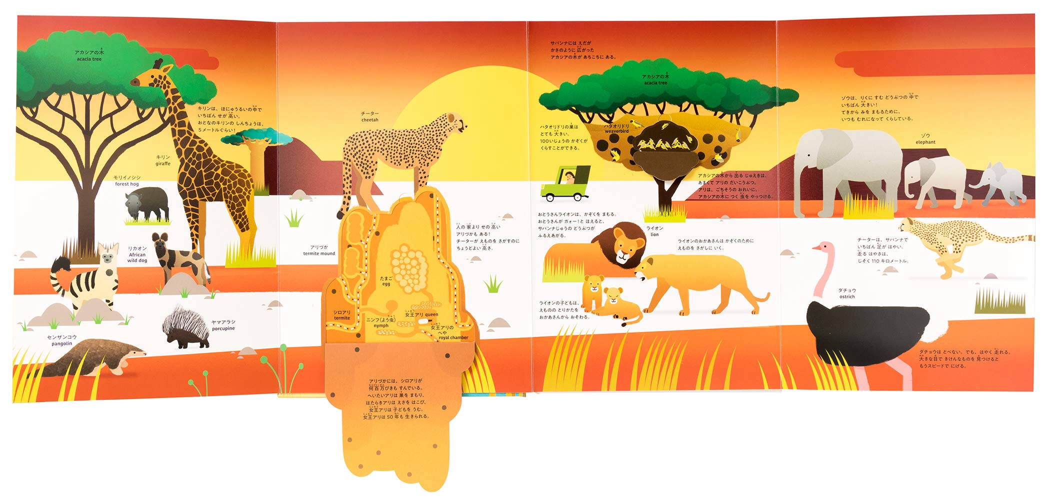 しかけでワクワク たのしく学ぼう サバンナのどうぶつ ソフィ デュソソワ オーレリ ヴェルドン 広野 和美 本 通販 Amazon しかけでワクワク たのしく学ぼう サバンナのどうぶつ ソフィ デュソソワ オーレリ ヴェルドン 広野 和美 本 通販 Amazon