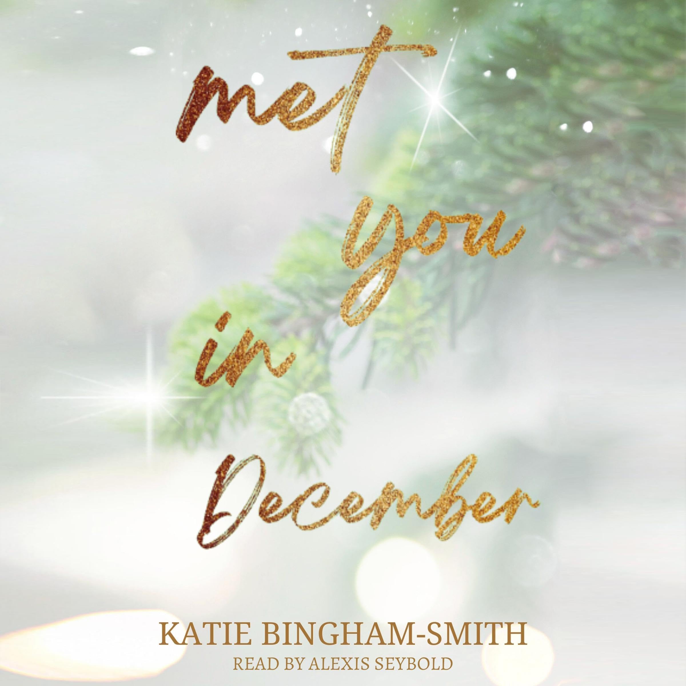 Met You in December