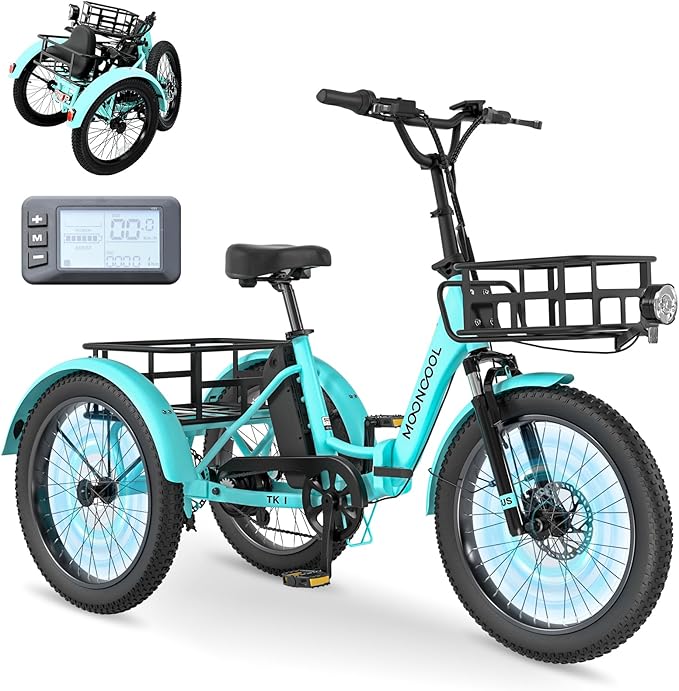 Tricycle électrique Natura | Ebike Workshop