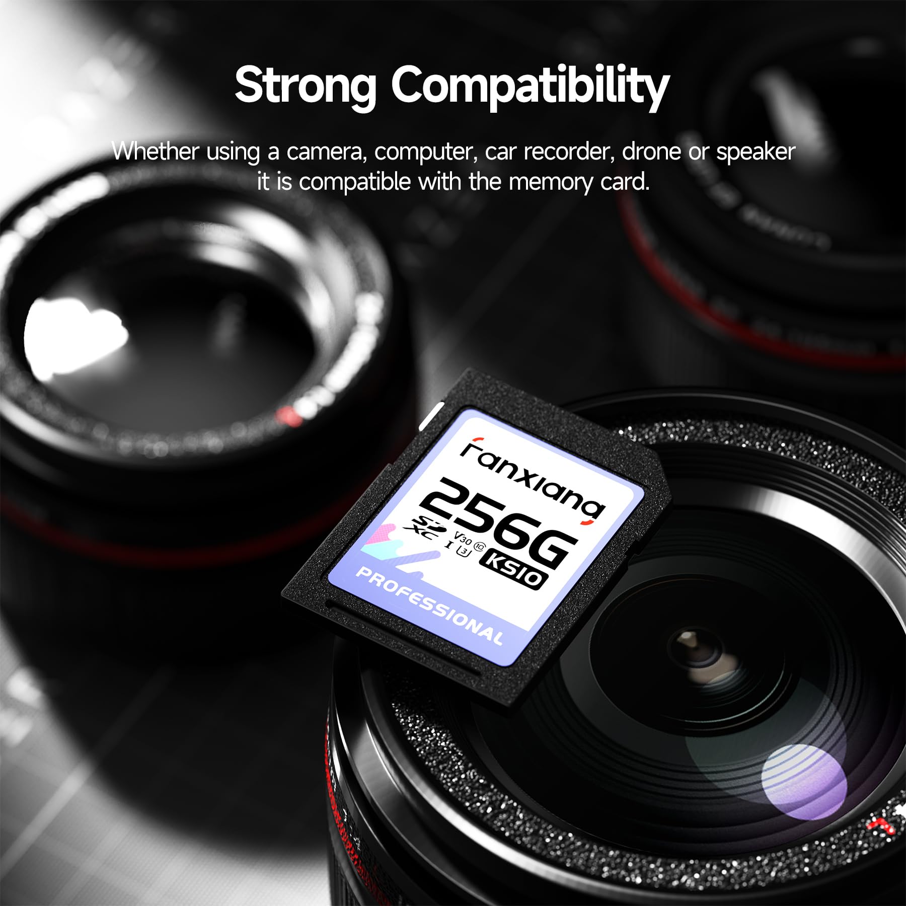fanxiang Carte SD 256 Go Jusqu'à 100 Mo/s - Carte mémoire SDXC UHS-I V30, U3, Classe 10 pour Appareil Photo Vidéos 4K UHD