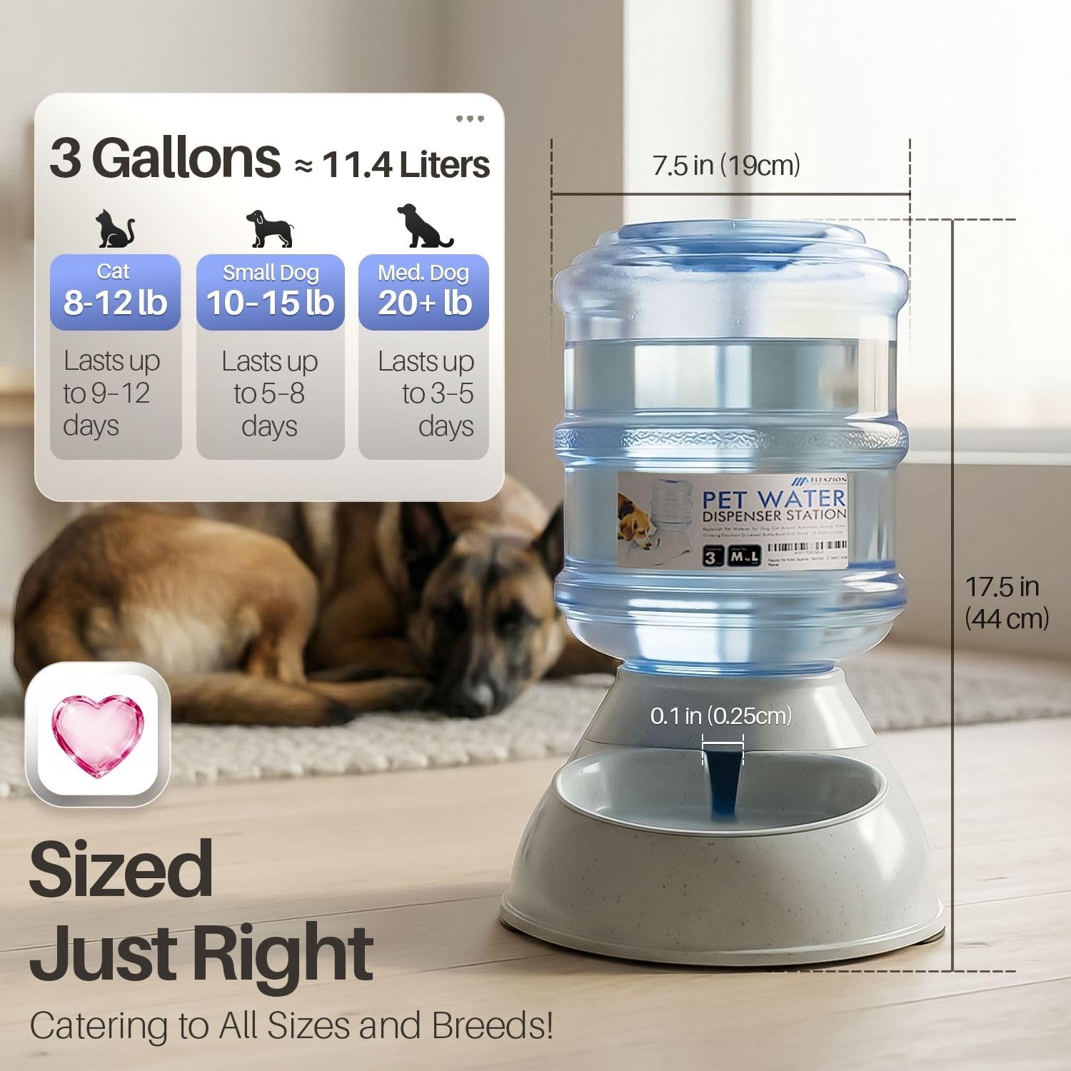 Littie Pet Food / Water Feeder Bowl | Furniture & Home Décor