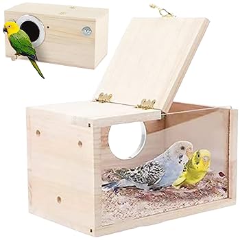 金運インコ hq720.jpg?sqp=-