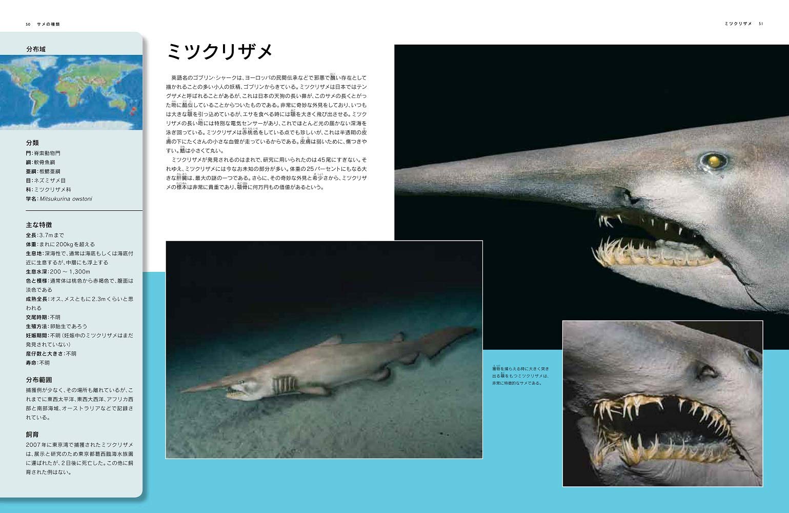 世界サメ図鑑 スティーブ パーカー 仲谷 一宏 櫻井 英里子 配送料無料