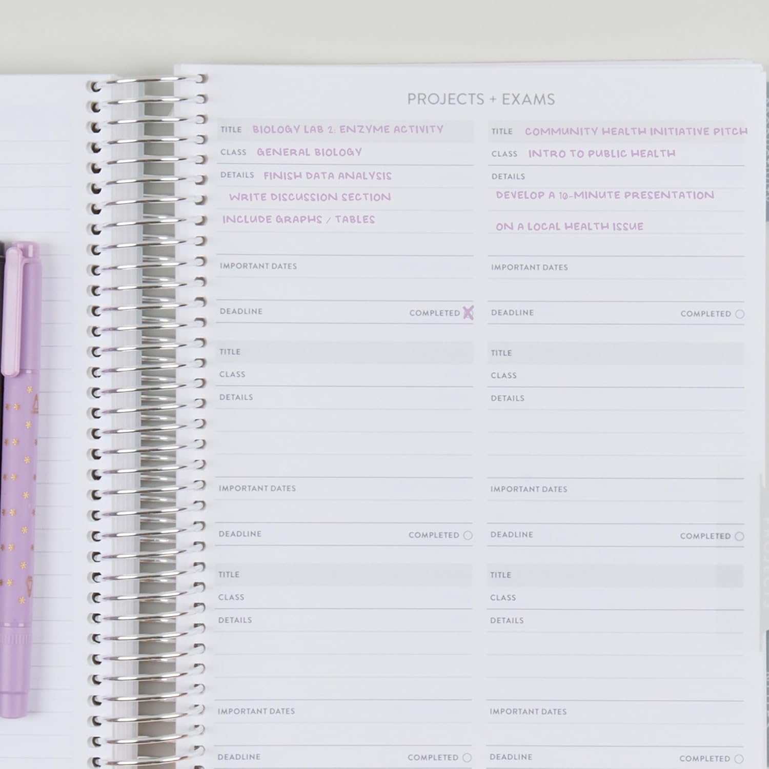 7x9 Coiled Academic Planner (January 2026 - December 2026) - Fruity Cherry cover, Pastel Minimal theme, platinum coil