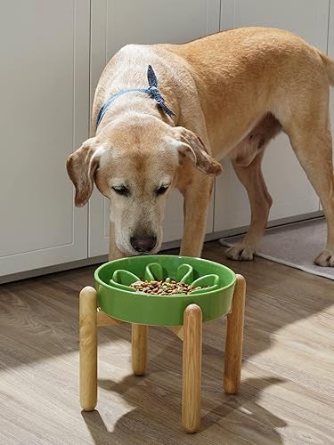 Vista 28 de LE TAUCI Cuencos de cerámica para perros de alimentación lenta, 3 tazas de alimentación lenta, tazón para perros de raza mediana y grande, cuenco