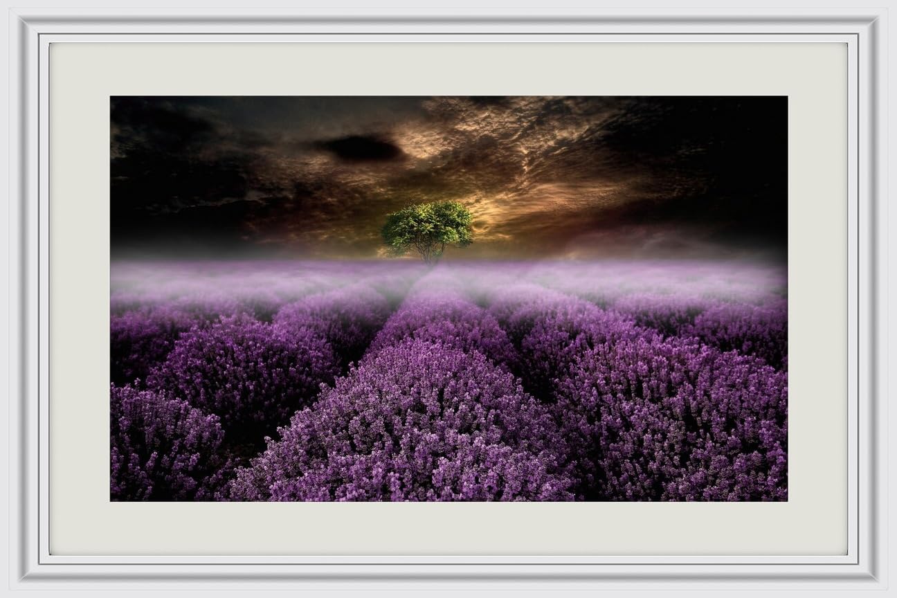 JVERF - JZZJ20331 Evening Fields Lavandula Fog| Self-Adhesive