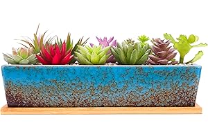 Inspiring 12.1" Ceramic Window Sill Planter Box for Indoor Succulent, Cactus, Bonsai Thriving