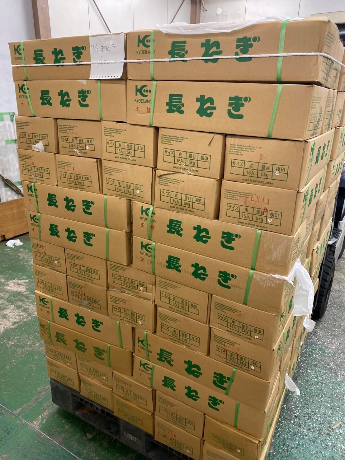 業務用 約10kg（5kg×2箱）約80本 Lサイズ｜中国産 白ネギ｜太くて長さが均一で使いやすい長葱｜鮮度優先の一貫管理体 【Horticulture】